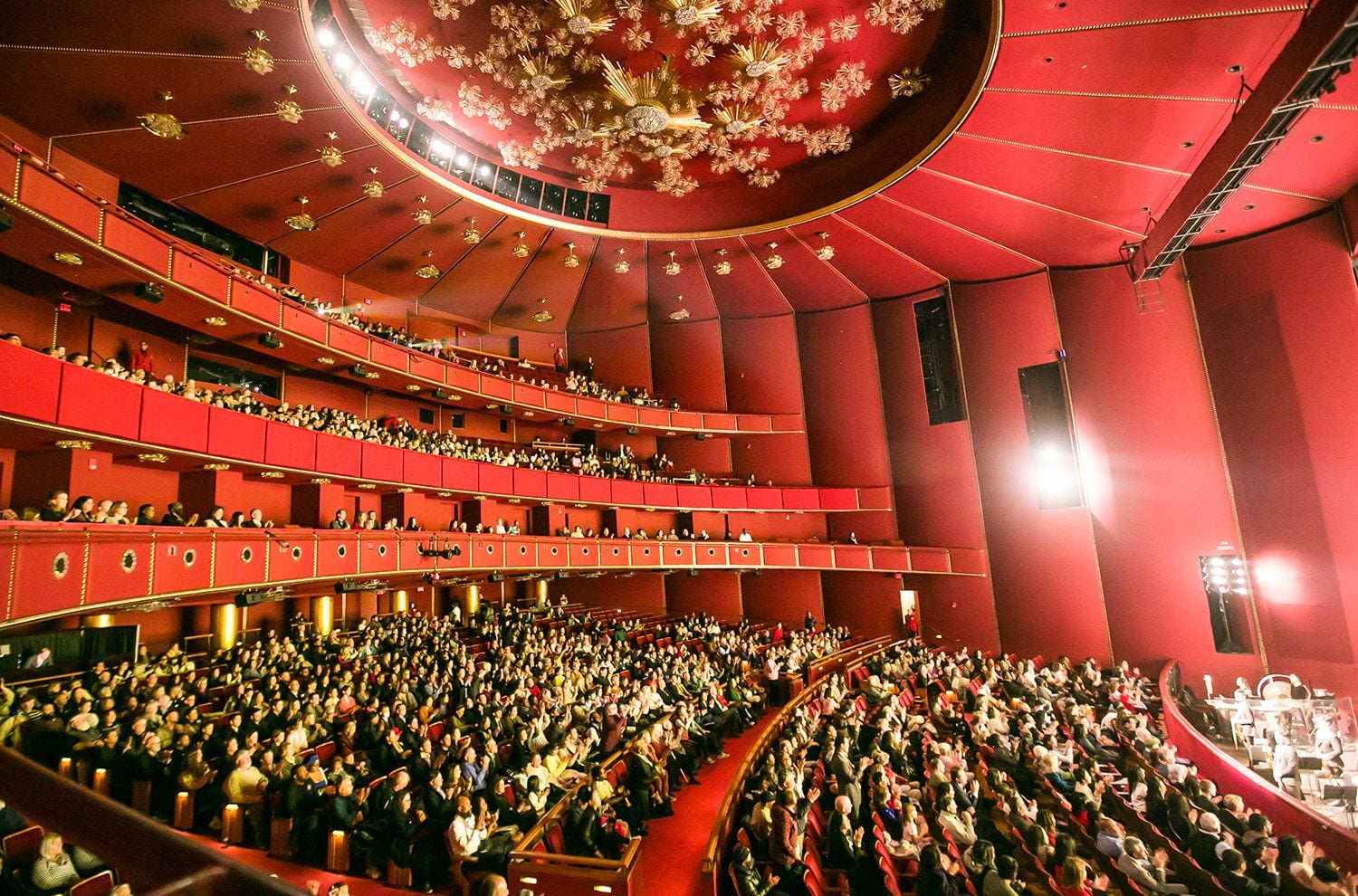 Shen Yun 5